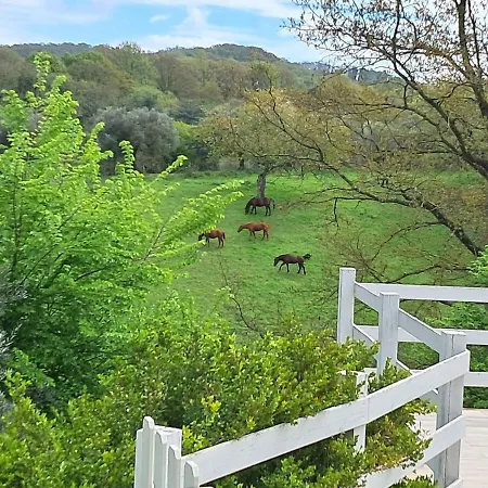 Parco Di Veio Appartement