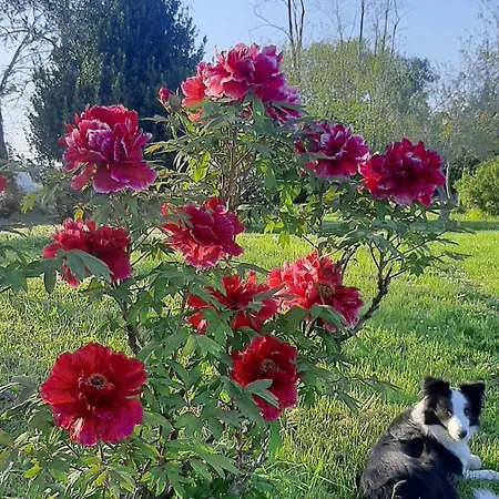 Parco Di Veio Formello