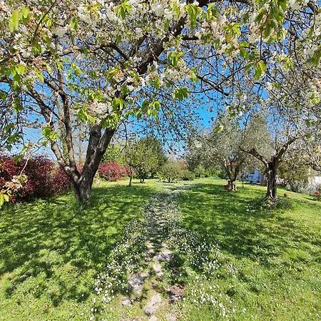 Parco Di Veio Apartment Formello
